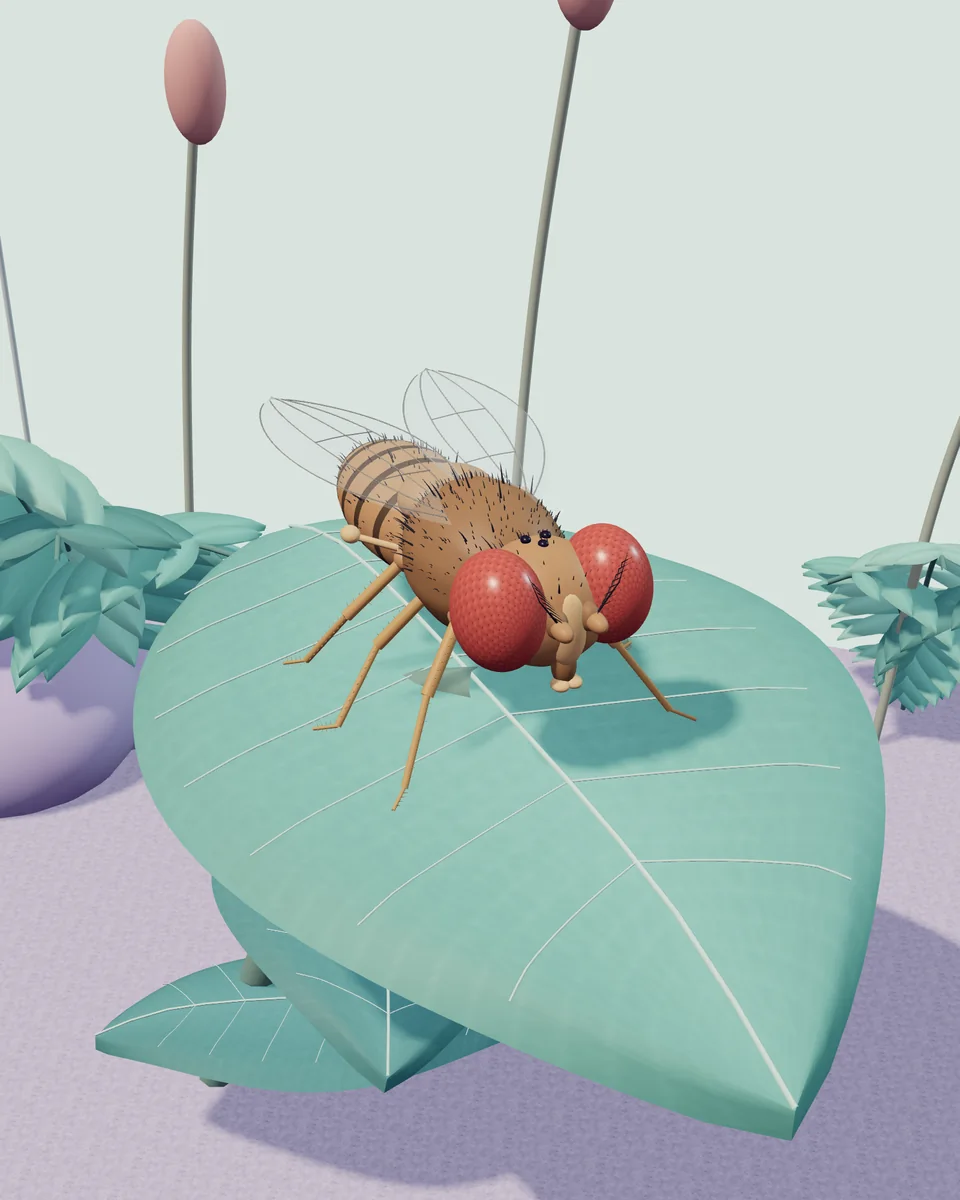 Working 3D prototype: a red-eyed fly with veined wings rests on a mint leaf among pastel plants and lavender stones.